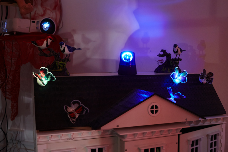 Unwelcome Collection at Peak